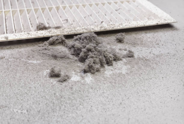 Best Residential Air Duct Cleaning  in Grosse Pointe Park, MI