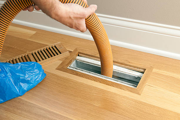 Air Duct Mold Removal in MI