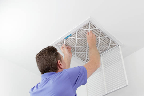 Best Local Air Duct Cleaning Services  in Grosse Pointe Park, MI
